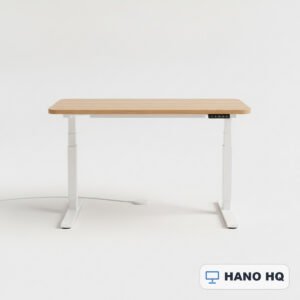 Electric Standing Desk 48" Single-Motor