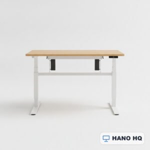Height-Adjustable Dual-Motor Standing Desk 60"